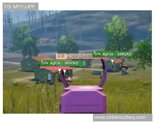 和平精英战术排行榜揭晓RNG战队荣登第八名引发热议