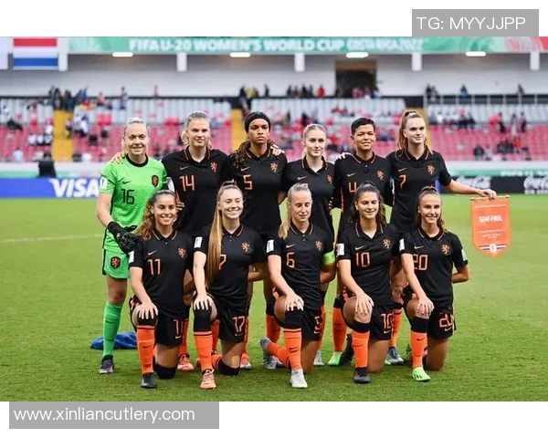 2010年世界杯决赛荷兰对西班牙技术统计全面解析与比赛亮点回顾