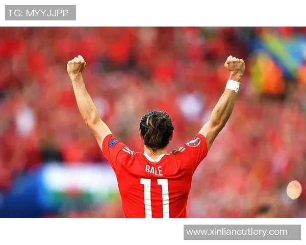 20171111法国与威尔士激战回顾精彩瞬间与比赛分析