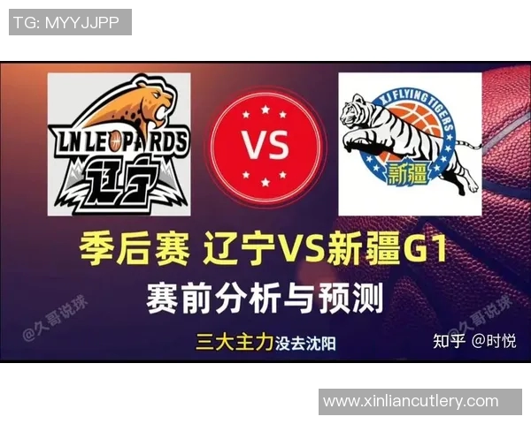 2013至2014赛季CBA辽宁队与福建队精彩对决回顾与分析