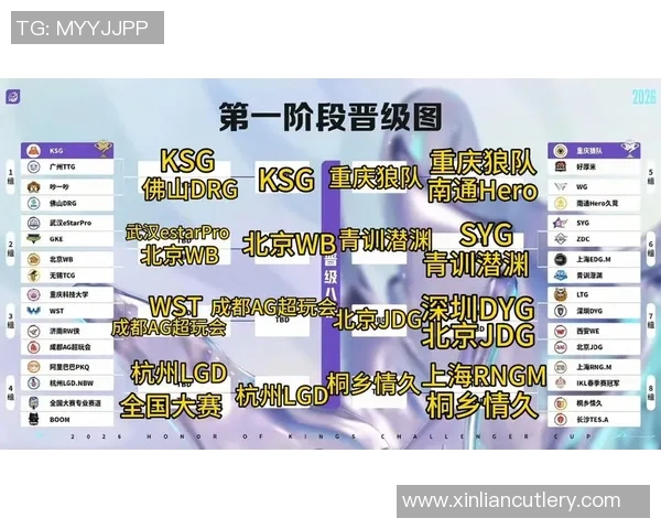 WE在挑战者杯中的节奏表现分析与战术探讨